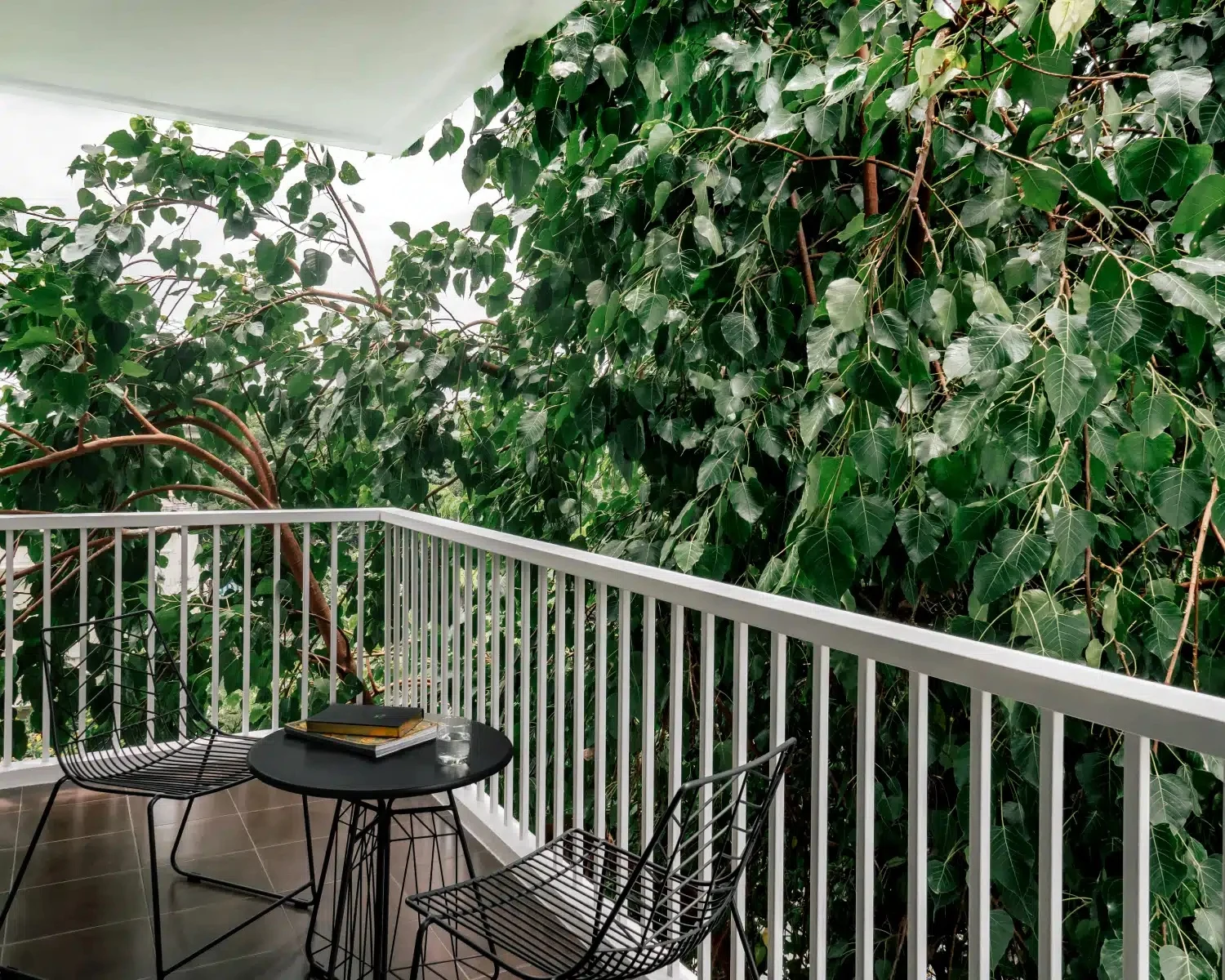 Balcony overlooking the neighbourhood